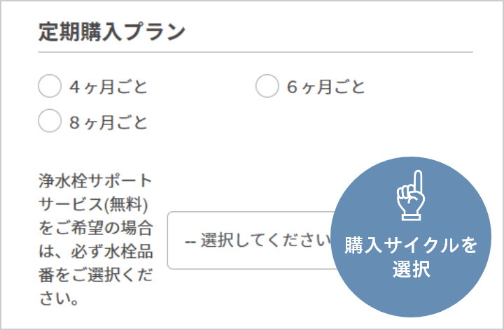 キャプチャー画像