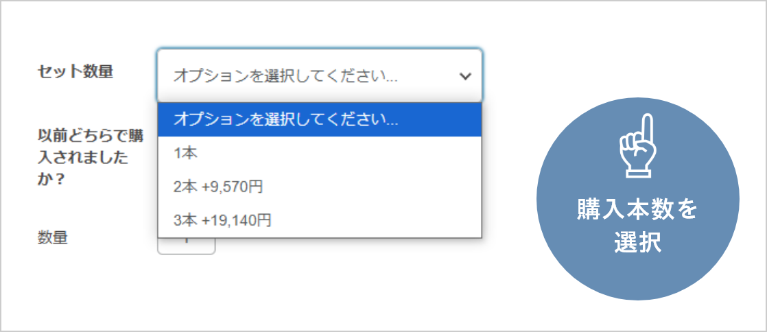 キャプチャー画像